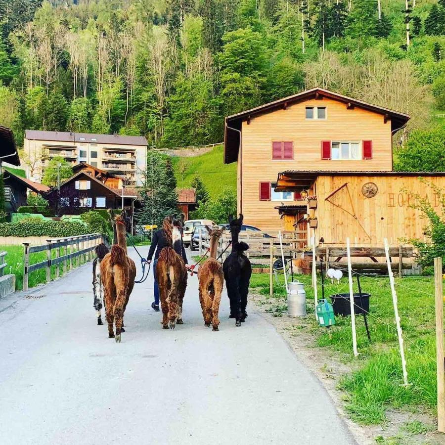 Jurte Beim Lama- & Alpakahof Triesenberg酒店 外观 照片