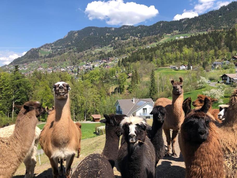 Jurte Beim Lama- & Alpakahof Triesenberg酒店 外观 照片