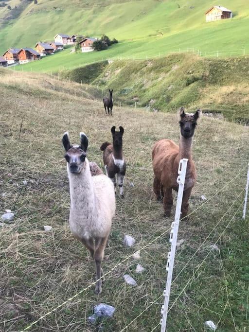 Jurte Beim Lama- & Alpakahof Triesenberg酒店 外观 照片