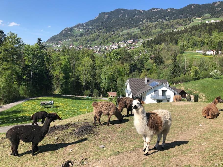 Jurte Beim Lama- & Alpakahof Triesenberg酒店 外观 照片