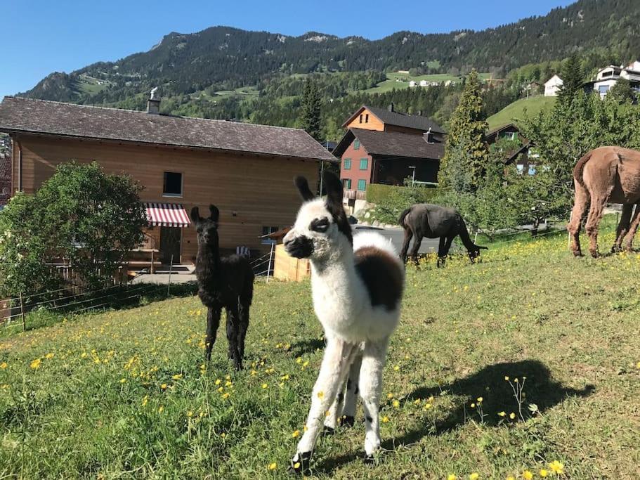 Jurte Beim Lama- & Alpakahof Triesenberg酒店 外观 照片